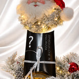 Limited Mystery Box - BikiniAlejandro